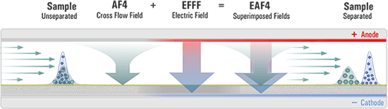 EAF4分離イメージ図