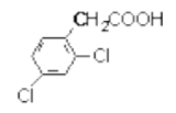 IC 3241のFormula