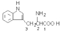 IC 4710のFormula