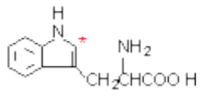 IC 4714のFormula